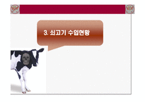 [농업경제학] 쇠고기 수입에 대한 문제점-13