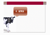 [농업경제학] 쇠고기 수입에 대한 문제점-18