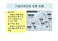 [농업경제학] 식량안보(Food security)및 식량주권(Food sovereignty)-19