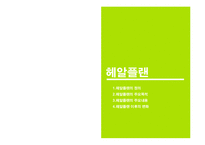 브라질 경제분석-10