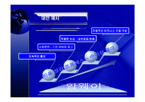 [유통관리] 암웨이 마케팅전략-17