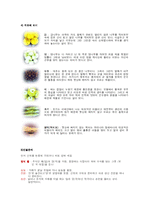 [전통문화] 제례-11