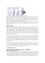 [관광 경영론] 마카오의 관광전략과 성공비결-6
