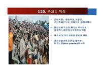 보령머드축제 성공전략 방안-5