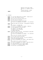 [국제경영 전략] 홍진크라운(HJC)의 국제경영 성공전략-4