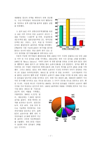 [국제경영 전략] 홍진크라운(HJC)의 국제경영 성공전략-7