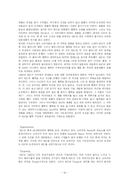 [국제경영 전략] 홍진크라운(HJC)의 국제경영 성공전략-18