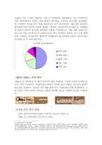 [국제경영] HJC 미국진출의 SWOT과 4P분석-6