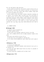 [국제경영] HJC 미국진출의 SWOT과 4P분석-8
