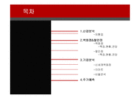 신세계 백화점 기업분석-2