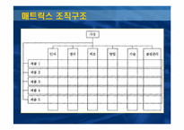 [조직이론] 기업 사례를 통해 배우는 매트릭스 조직구조-3