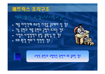 [조직이론] 기업 사례를 통해 배우는 매트릭스 조직구조-5