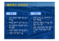 [조직이론] 기업 사례를 통해 배우는 매트릭스 조직구조-6