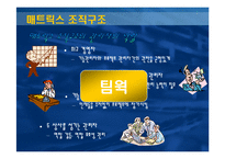 [조직이론] 기업 사례를 통해 배우는 매트릭스 조직구조-7