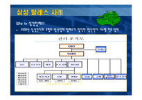 [조직이론] 기업 사례를 통해 배우는 매트릭스 조직구조-8