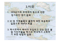 [경제학] NAFTA의 전망과 분석-9