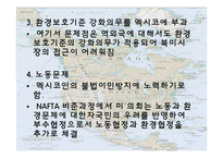 [경제학] NAFTA의 전망과 분석-15