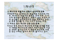 [경제학] NAFTA의 전망과 분석-18