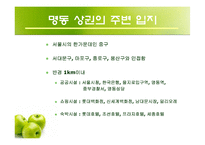 [경영학] 파스쿠찌를 통한 명동 상권 분석과 외국 지역과의 비교-10