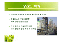 [경영학] 파스쿠찌를 통한 명동 상권 분석과 외국 지역과의 비교-16