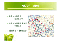 [경영학] 파스쿠찌를 통한 명동 상권 분석과 외국 지역과의 비교-17