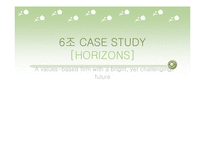 Horizons 의 경영 전략 분석-1