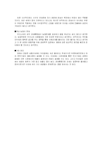 [경제학] 브라질 한국과의 경제관계-11