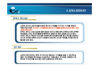 인덱스 펀드를 이용한 포트폴리오 보험 전략-12