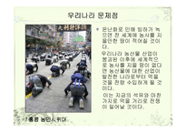 도하개발아젠다(DDA)-10