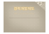 경력개발제도 레포트-1