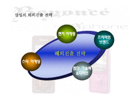 [국제마케팅] 삼성 울트라 뮤직폰의 해외진출 전략-9