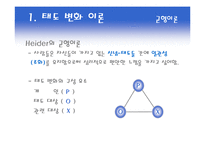 [소비자행동론] 태도의 형성과 변화-4