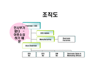 [기업분석] 휴맥스(HUMAX) 기업사례분석-8