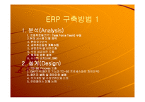 삼성 SDI의 ERP 도입사례-11