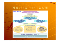 삼성 SDI의 ERP 도입사례-15