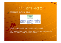 삼성 SDI의 ERP 도입사례-17