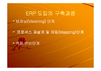 삼성 SDI의 ERP 도입사례-20