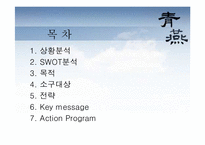 [광고전략] 한국영화 청연 pr전략-2