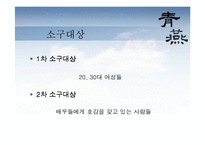 [광고전략] 한국영화 청연 pr전략-12