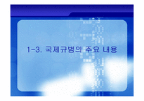[국제통상론] 보조금 및 상계조치 분쟁 해결 절차-17