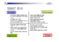 [인터넷비즈니스] cj mall의 성공전략-13