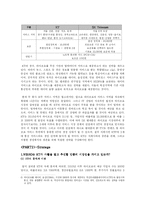 KT 와이브로 사업전략 분석-6