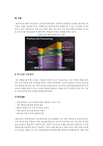 KT 와이브로 사업전략 분석-9