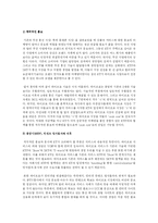 KT 와이브로 사업전략 분석-12