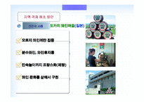 [부동산경제] 지역간 격차의 확대 이유와 해결방안-12