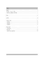 [사업계획서]온라인관광산업 사업계획서-3