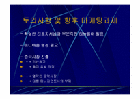 [마케팅]걸어다니는 1인기업 `보아` 마케팅전략-13