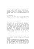 [학사][국제경영]미원의 인도네시아 진출사례-13