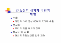 [국제경영]농심 신라면 중국진출 성공전략-5