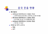 [국제경영]농심 신라면 중국진출 성공전략-8
